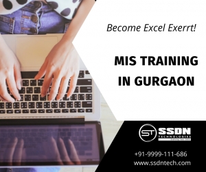 https://www.ssdntech.com/software/mis-training-in-gurgaon